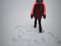 whatsapp image 2026-02-04 at 21.26.40